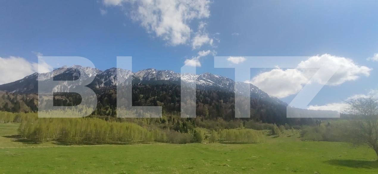 Teren de vânzare Zarnesti - 150373TV | BLITZ Brașov | Poza3