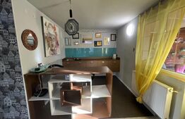 Casa individuala, 270 mp, 7 camere, 600 mp teren, zona Dezmir