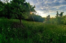 Teren intravilan 1628mp,cu panorama deosebita,in Feleacu