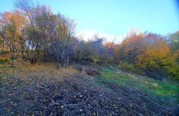 Teren intravilan 1628mp,cu panorama deosebita,in Feleacu