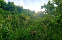 Teren intravilan 1628mp,cu panorama deosebita,in Feleacu