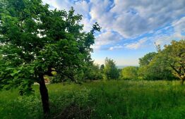 Teren intravilan 1628mp,cu panorama deosebita,in Feleacu