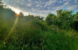 Teren intravilan 1628mp,cu panorama deosebita,in Feleacu