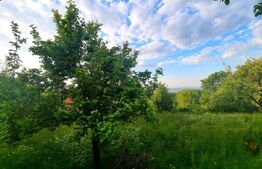 Teren intravilan 1628mp,cu panorama deosebita,in Feleacu