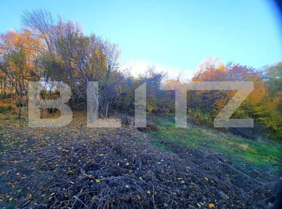 Teren de vânzare Feleacu - 150380TV | BLITZ Cluj-Napoca | Poza5