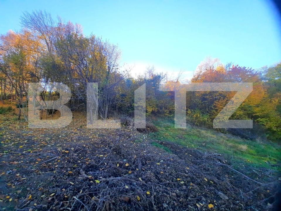 Teren de vânzare Feleacu - 150380TV | BLITZ Cluj-Napoca | Poza5