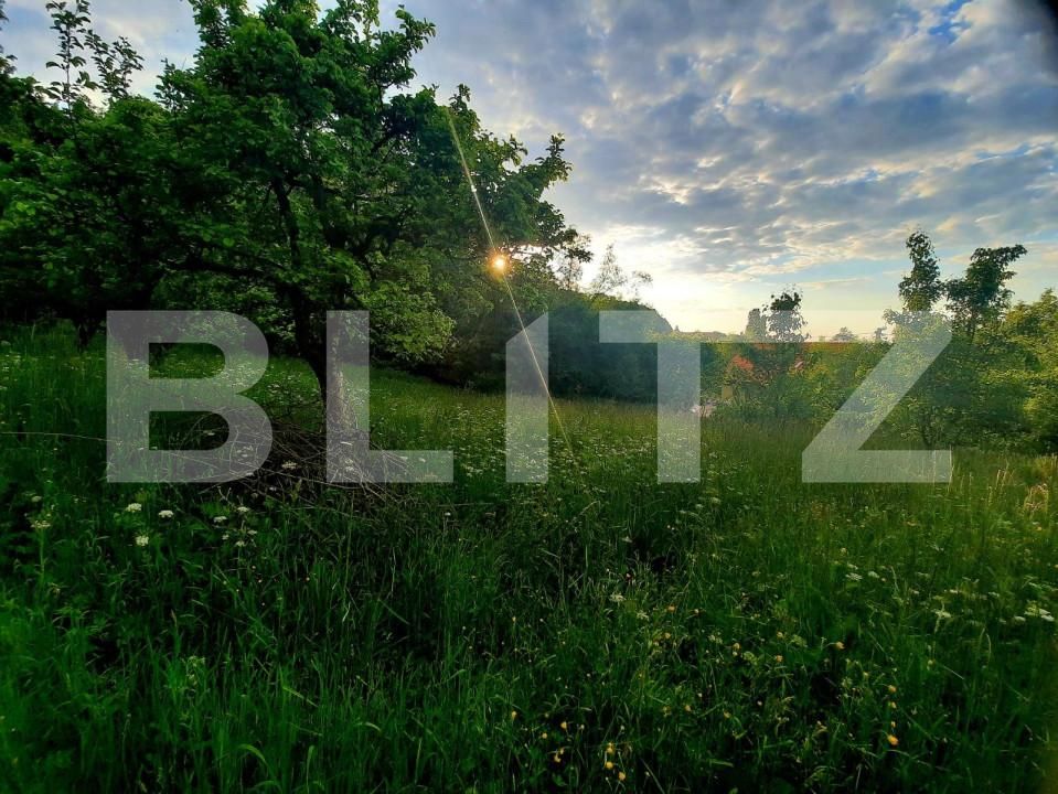 Teren de vânzare Feleacu - 150380TV | BLITZ Cluj-Napoca | Poza3