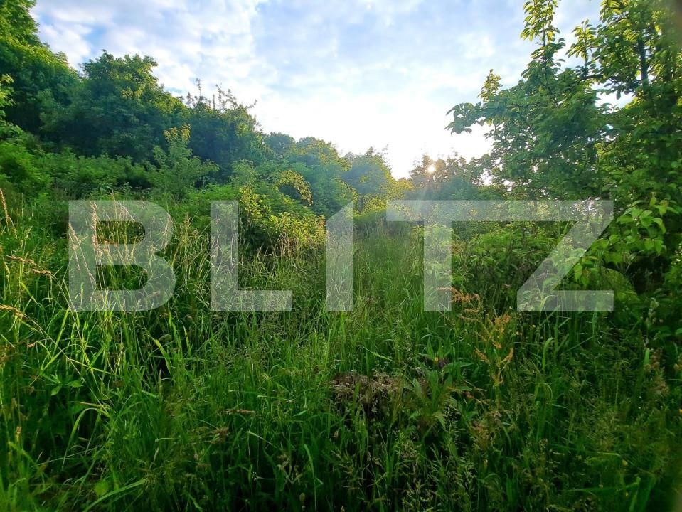 Teren de vânzare Feleacu - 150380TV | BLITZ Cluj-Napoca | Poza12