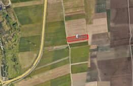 Teren de vânzare Zarnesti - 174933TV | BLITZ Brașov | Poza5