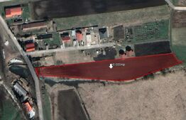 Teren 10.000mp, Sanpetru