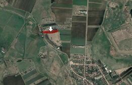 Teren 10.000mp, Sanpetru