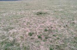 Teren intabulat, 1000mp, zona Harman