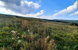 Teren intravilan de 5800 mp, situat in Padureni