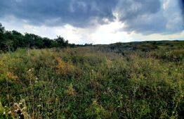 Teren intravilan de 5800 mp, situat in Padureni