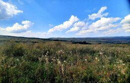 Teren intravilan de 5800 mp, situat in Padureni