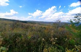 Teren intravilan de 5800 mp, situat in Padureni