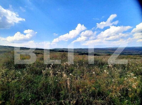 Teren de vânzare Padureni (Chinteni) - 150389TV | BLITZ Cluj-Napoca | Poza5
