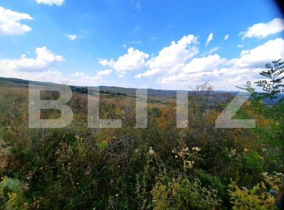 Teren de vânzare Padureni (Chinteni) - 150389TV | BLITZ Cluj-Napoca | Poza3