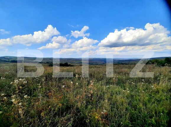 Teren de vânzare Padureni (Chinteni) - 150389TV | BLITZ Cluj-Napoca | Poza2