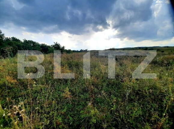 Teren de vânzare Padureni (Chinteni) - 150389TV | BLITZ Cluj-Napoca | Poza6