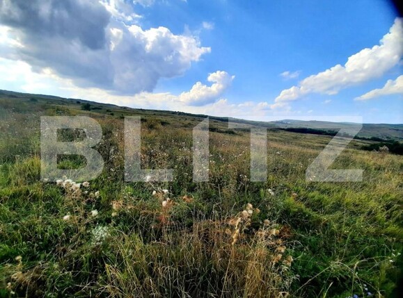 Teren de vânzare Padureni (Chinteni) - 150389TV | BLITZ Cluj-Napoca | Poza4
