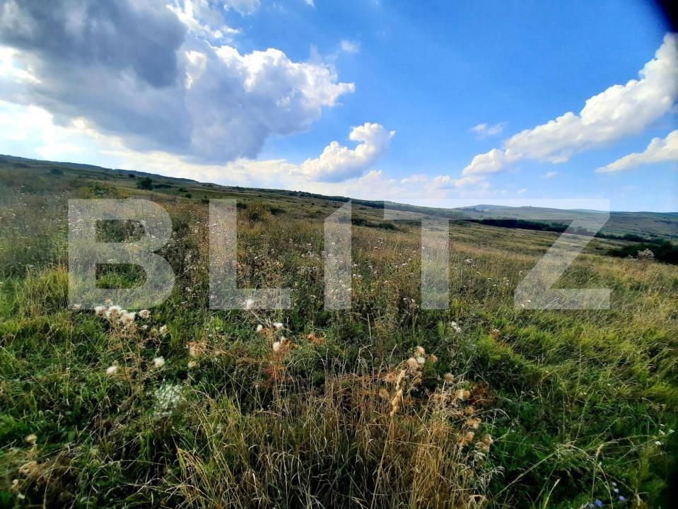 Teren de vânzare Padureni (Chinteni) - 150389TV | BLITZ Cluj-Napoca | Poza4