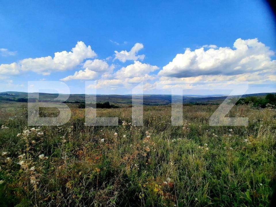 Teren de vânzare Padureni (Chinteni) - 150389TV | BLITZ Cluj-Napoca | Poza2