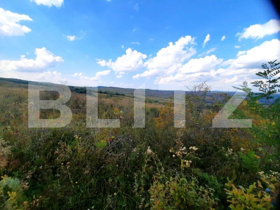 Teren de vânzare Padureni (Chinteni) - 150389TV | BLITZ Cluj-Napoca | Poza3