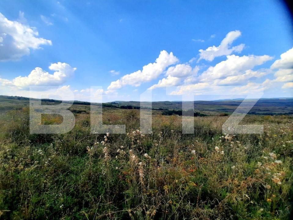 Teren de vânzare Padureni (Chinteni) - 150389TV | BLITZ Cluj-Napoca | Poza5