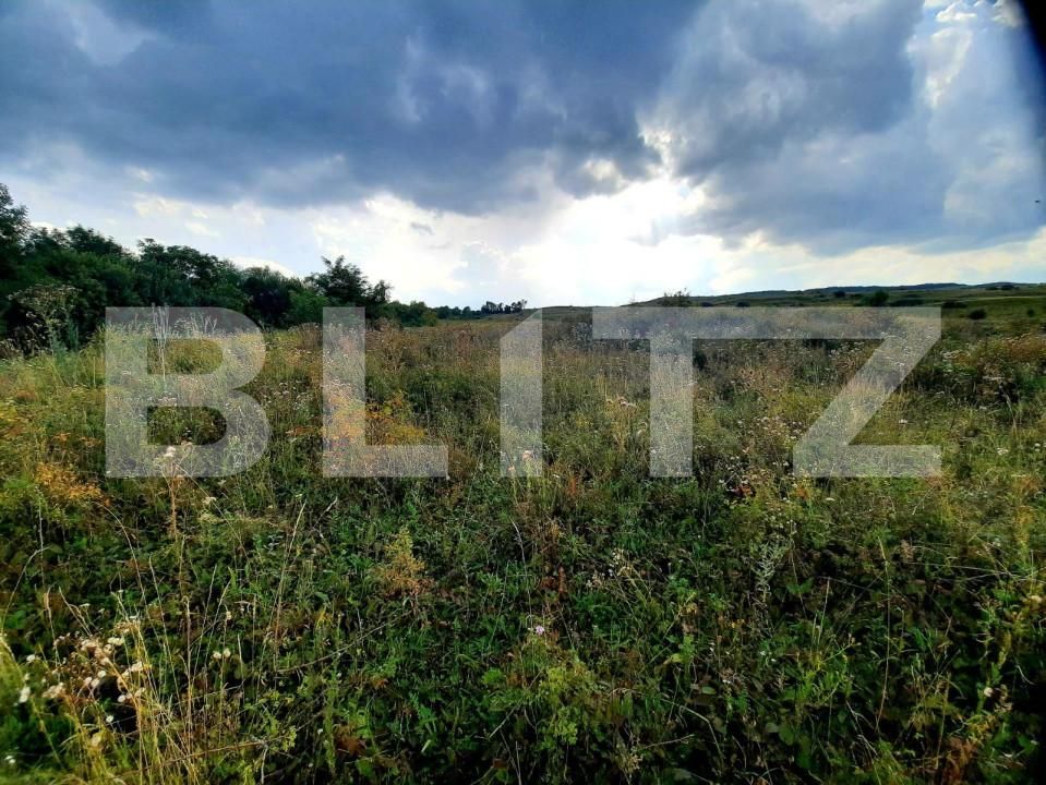 Teren de vânzare Padureni (Chinteni) - 150389TV | BLITZ Cluj-Napoca | Poza6