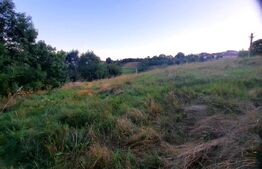 Teren intravilan de 3739 mp, situat in Feleacu 