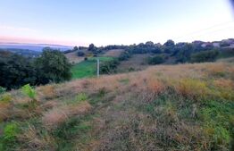 Teren intravilan de 3739 mp, situat in Feleacu 