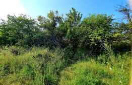 Teren cu panorama deosebita, suprafata de 3300mp, zona Wonderland