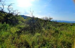 Teren cu panorama deosebita, suprafata de 3300mp, zona Wonderland