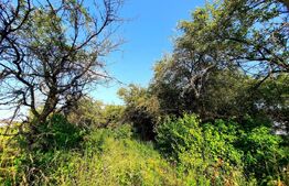 Teren cu panorama deosebita, suprafata de 3300mp, zona Wonderland