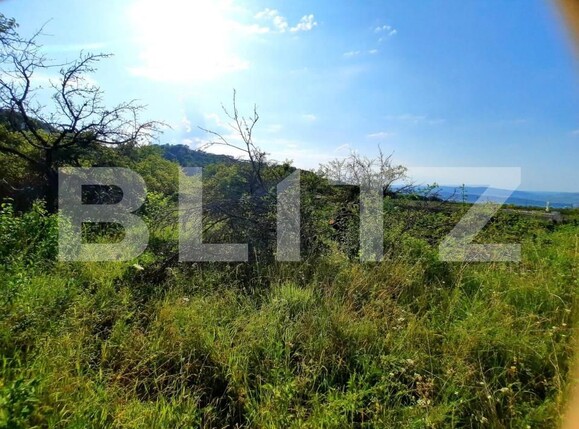 Teren de vânzare Feleacu - 150393TV | BLITZ Cluj-Napoca | Poza4