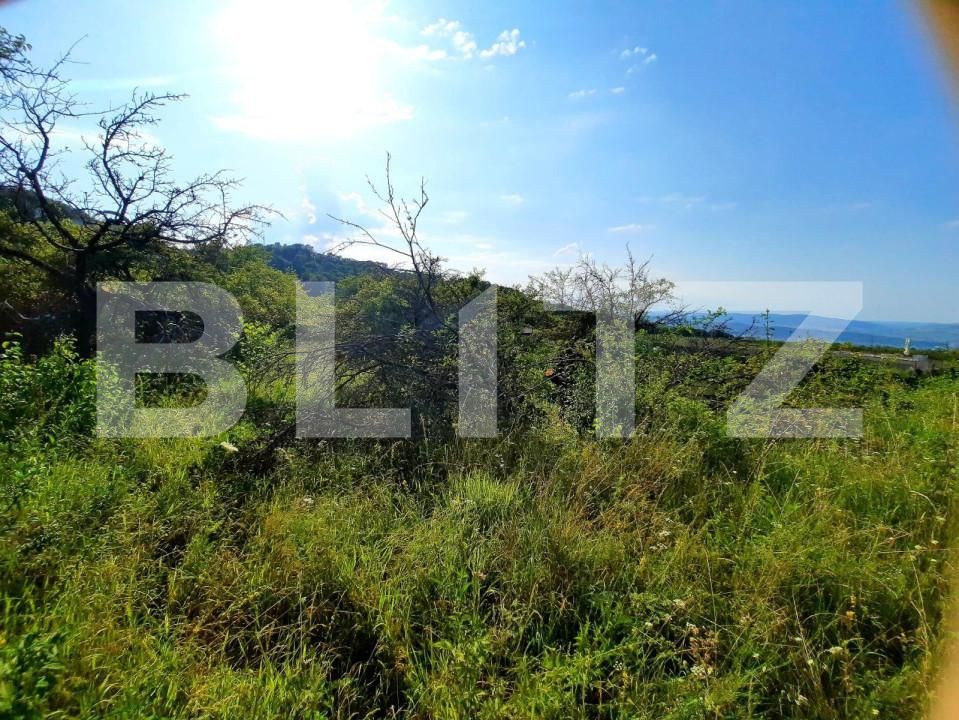 Teren de vânzare Feleacu - 150393TV | BLITZ Cluj-Napoca | Poza4