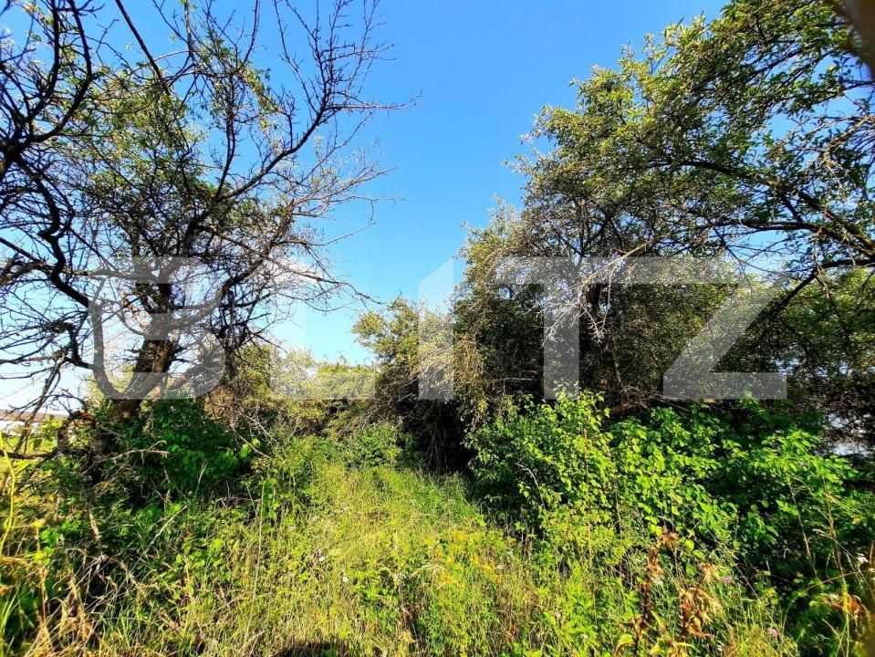 Teren de vânzare Feleacu - 150393TV | BLITZ Cluj-Napoca | Poza7