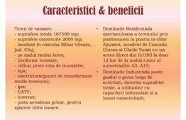 Teren cu destinatie mixta, zona superba, cu acces facil, 167500mp, zona Turda 