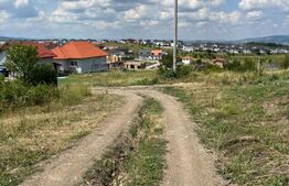 Teren extravilan in Dezmir, 2802 mp cu un front de 19 ml