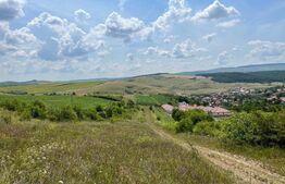 Teren extravilan in Dezmir, 2802 mp cu un front de 19 ml