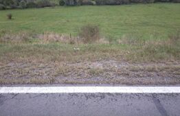 Teren intravilan cu suprafata de 2100 mp in Feleac