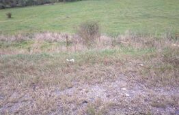 Teren intravilan cu suprafata de 2100 mp in Feleac