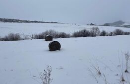 Teren intravilan de 713 mp in Deusu, la limita cu localitatea Chinteni