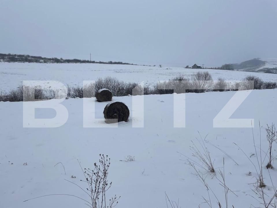 Teren de vânzare Deuşu - 150405TV | BLITZ Cluj-Napoca | Poza1