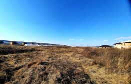 Teren intravilan 2900 mp, situat in Jucu