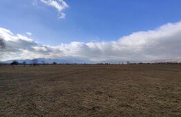 Oportunitate! Teren intravilan 2500mp (puz aprobat)