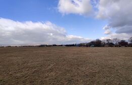 Oportunitate! Teren intravilan 2500mp (puz aprobat)