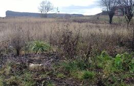 Teren de vanzare 5813 mp cu destinatie constructii blocuri in Floresti