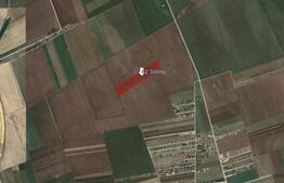 Teren de vanzare 42.300 mp, Harman - Tarlungeni